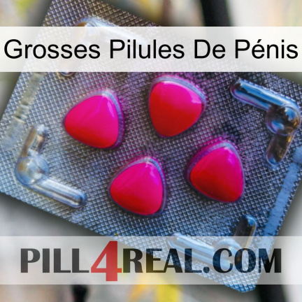 Grosses Pilules De Pénis 13